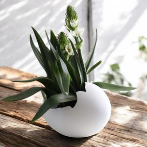 May include: A white ceramic egg-shaped planter with a crack on one side, holding a green plant with white flowers.