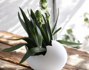 May include: A white ceramic egg-shaped planter with a crack on one side, holding a green plant with white flowers.