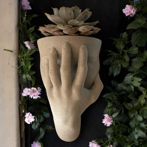 May include: A beige ceramic planter shaped like a hand holding a succulent plant. The planter is mounted on a black wall and surrounded by pink flowers.