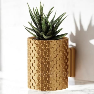 May include: A gold-colored wall-mounted planter with a geometric pattern, holding a small green succulent plant.