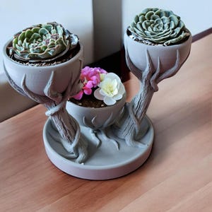 May include: A gray ceramic planter with three pots, shaped like tree branches, holding succulents and small pink and white flowers.