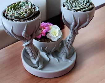 Könnte beinhalten: Ein grauer Keramik-Pflanztopf mit drei Töpfen, die wie Äste geformt sind, mit Sukkulenten und kleinen rosa und weißen Blüten.