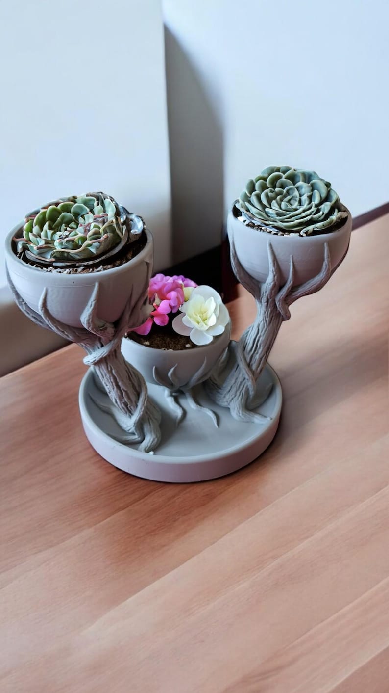 Three Cupped Tree Branch Flower Pot, Unique Planter, Artistic Branch ...