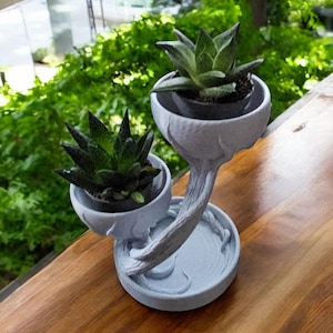 May include: A light gray, sculptural planter with two bowls, each holding a small succulent plant. The planter has a curved stem and a round base. The background shows lush green foliage and a wooden surface.