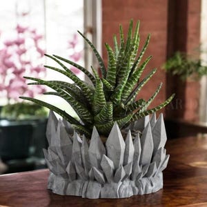May include: A succulent plant with green and white striped leaves growing in a gray, crystal-shaped planter.