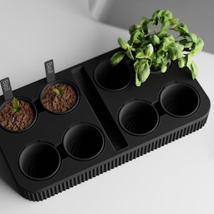 May include: A black herb garden planter with several circular compartments. Two compartments contain small basil plants, while others are empty. A larger section holds a mature basil plant. Small labels read "Basil" and "Oregano".