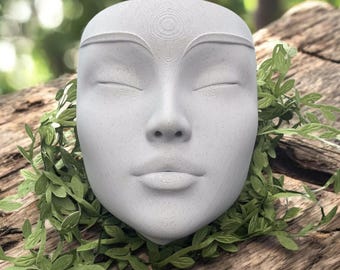 Modern Wall Face Planter Vase - Head Flower Pot for Succulents, Cacti, Air Plant and Vines - Living Room, Office, Bedroom Wall Decor