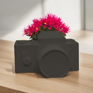 May include: A black camera-shaped planter with pink flowers growing out of the top.
