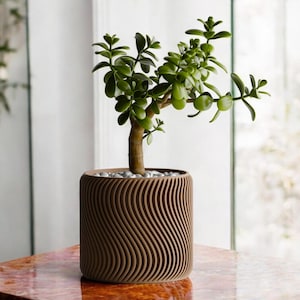May include: A small green jade plant in a brown, wavy textured ceramic pot. The plant is potted with white decorative stones.