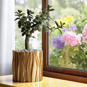 May include: A jade plant in a wooden pot with a textured, tree bark-like design. The pot is a light brown color with a darker brown wood grain pattern. The plant is in focus, and the background is blurred.