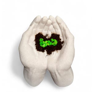 May include: White ceramic hands holding a small pot of soil with green plant sprouts growing in it.