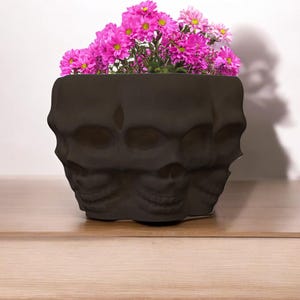 May include: A black ceramic planter shaped like three stacked skulls, filled with pink flowers.