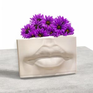 May include: A white ceramic planter shaped like a pair of lips with a bouquet of purple flowers.