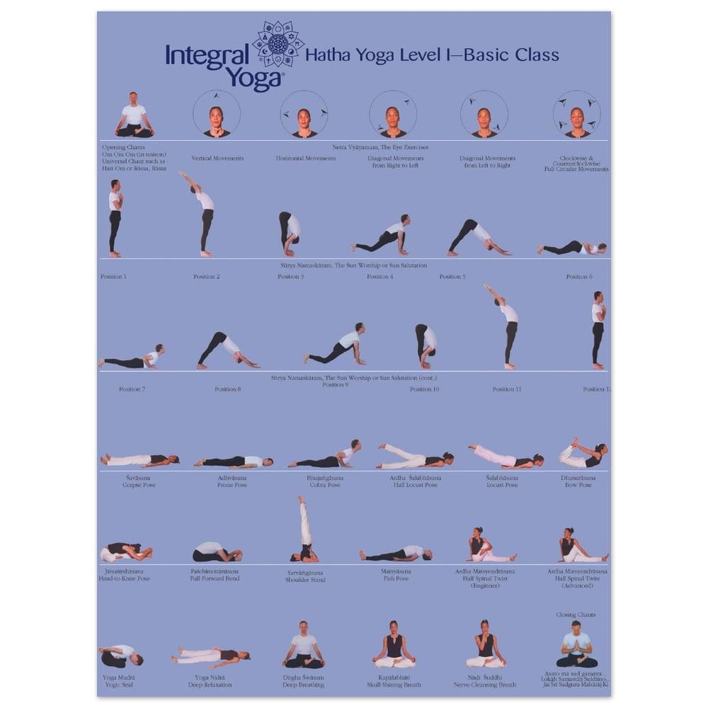 Micro Level Asana Integral Yoga Hatha Level 1 Asana Chart - Gallery Art Panel - Etsy