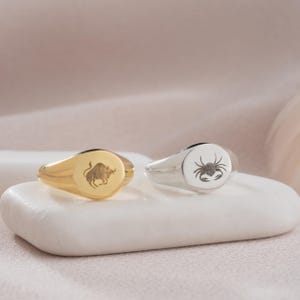 Handmade 14K Gold Zodiac Signet Ring: Personalized Astrology Jewelry