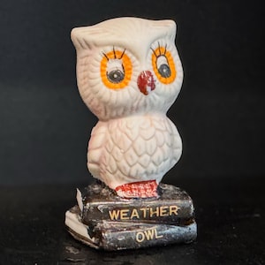 1970's Woodsy Owl ビンテージ TOY ツリー飾り ふくろう 梟