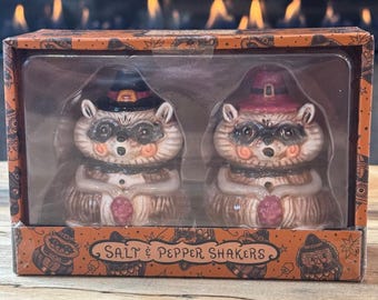 Johanna Parker Fall Raccoon Salt and Pepper Shakers Set Vintage Style Halloween