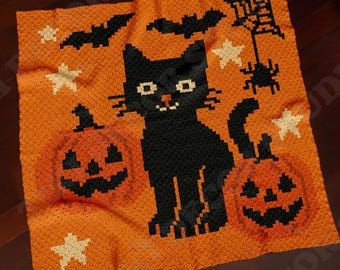 Katt & Spindlar Filt C2C Mönster | Halloweenpläd | Läskig Afghansk | Hörn-till-hörn-virkning | PDF | Direktnedladdning