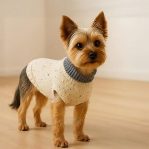 Dog Sweater Knitting Pattern Warm Soft Pullover for Small Medium Large Dogs and Pets Easy DIY PDF Pattern for Beginner Pet Outfit Knitters