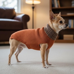 Può includere: Un cagnolino indossa un maglione arancione lavorato a maglia con un colletto a righe marrone e beige. Il cane è in piedi su un tappeto di colore chiaro in una stanza ben illuminata. Il maglione copre il corpo del cane, fornendo calore.