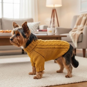 Puede incluir: Un perro pequeño con un suéter de punto trenzado amarillo mostaza. El suéter tiene cuello alto y cubre las patas delanteras del perro. El perro está sobre una alfombra blanca en un salón.