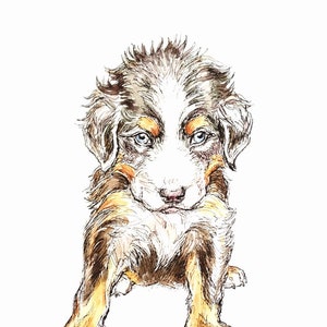 Original handmade drawing - Bernese puppy