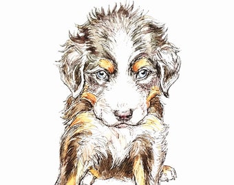 Original handmade drawing - Bernese puppy