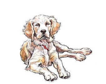 Original handmade drawing - Golden Labrador Retriever puppy
