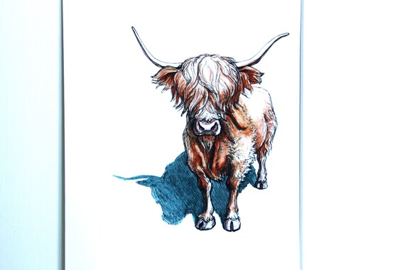 Scottish Highland Cow Art Print Etsy