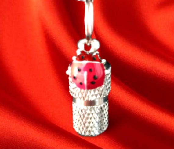 Ladybug Cremation Urn Necklace – Silver Memorial Jewelry, 24" Ball Chain