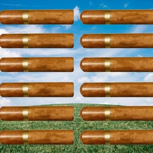 Twelve Natural Rosewood Cremation/Scattering Tubes - Fits in Pocket/Purse, TSA approved for travel - Engraving Optional