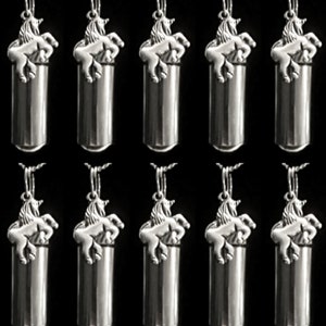 TEN Silver CREMATION URN Necklaces with Unicorn - Urn Jewelry, Ashes Keepsake, Loss of Loved One, Urn For Human Ashes, Personalized Urn
