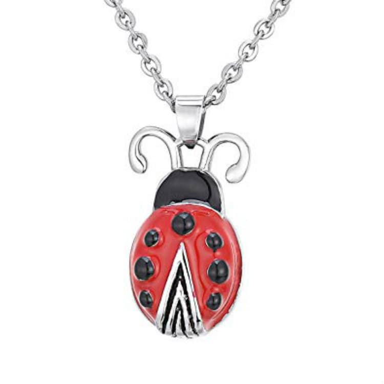 Stainless Steel Red LADYBUG CREMATION URN on 24 Curb-Chain Necklace ...