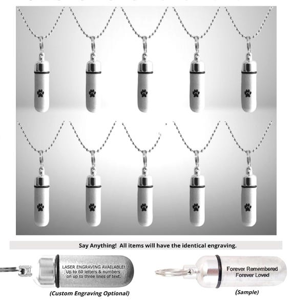 Pet Set of TEN Brushed Silver CREMATION URN Necklaces w/Simple Engraved Paws - Ashes Necklace, Memorial Jewelry, Mourning Jewelry, Pet Ashes