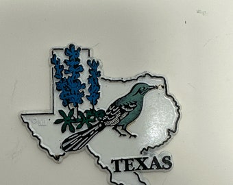 Imán para refrigerador del estado de Texas de caucho vintage