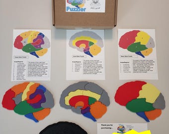 May include: A cardboard box labeled The Brain Puzzler, three instructional sheets with numbered brain diagrams, three multi-colored brain-shaped puzzles, and one solid black brain-shaped puzzle piece, all featuring educational anatomical labels.