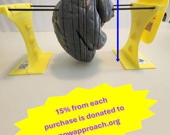 May include: A gray, segmented anatomical brain model suspended on two black rods between two yellow stands. A blue arrow indicates a height of 6 inches. A yellow starburst graphic contains the text: 15% from each purchase is donated to snowapproach.org.