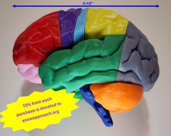 Magnetized 3D brain puzzle - 5-1/2" - Personalized Gift