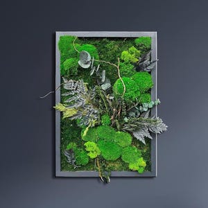 Moss art, Preserved moss, Living wall, Plant wall decor, Preserved plants, Moss wall art, Green wall, Moss art panel, Custom moss wall