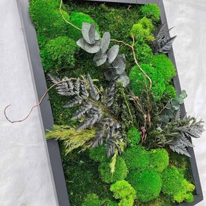 Preserved plants, Moss wall art, Green wall, Moss art panel, Custom moss wall, Moss art, Preserved moss, Living wall, Plant wall decor