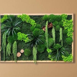 Moss wall art, Moss wall, Green wall, Moss frame, Preserved moss, Wall art, Nature room decor, Moss picture, Eco-friendly home decor
