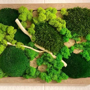 Moss wall art, Moss picture, Moss wall, Green wall, Moss frame, Preserved moss, Wall art, Nature room decor,  Eco-friendly home decor