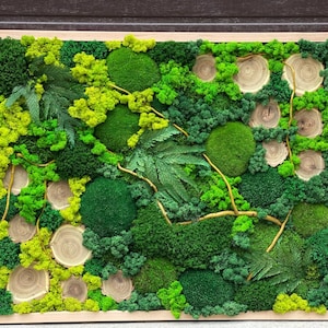 Moss frame, Preserved moss, Wall art, Nature room decor,  Eco-friendly home decor, Moss picture, Moss wall art, Moss wall, Green wall
