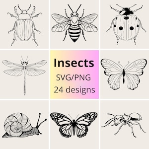Ensemble SVG et PNG de dessins au trait insectes | Ensemble de cliparts insectes | Lot SVG papillons, abeilles et insectes | Ensemble contour d'insecte | Ensemble de papillons svg