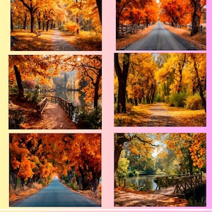 May include: A collection of six digital backgrounds featuring autumn park scenes. The images showcase roads and paths lined with trees displaying vibrant orange and yellow foliage. The text "Autumn Park Digital Background" is displayed.