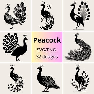 Elegant Peacock SVG & PNG Bundle | Peacock Clipart Bundle | Royal Peacock SVG Set | Bird svg Designs for Cricut | Minimalist Bird logo