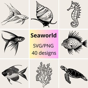 Ensemble SVG et PNG Seaworld | Dessins d'animaux marins | Clipart vie océanique svg/png | Ensemble SVG animaux marins | Pack svg sous la mer | Ensemble svg mer
