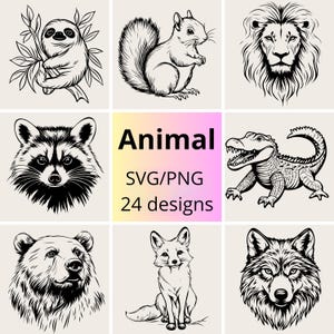 Wilde dieren SVG PNG-bundel | Dierlijke clipartset | Wildlife lijntekeningen svg png | Jungle- en bosdieren | Bos- en safaridieren svg