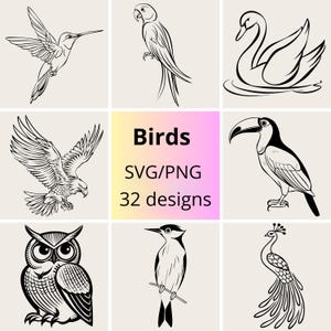 Ensemble SVG et PNG de dessins au trait oiseaux | Ensemble de cliparts oiseau élégant | Lot contour d'oiseau minimaliste |  Designs de Oiseau pour Cricut | Oiseaux Dessins SVG