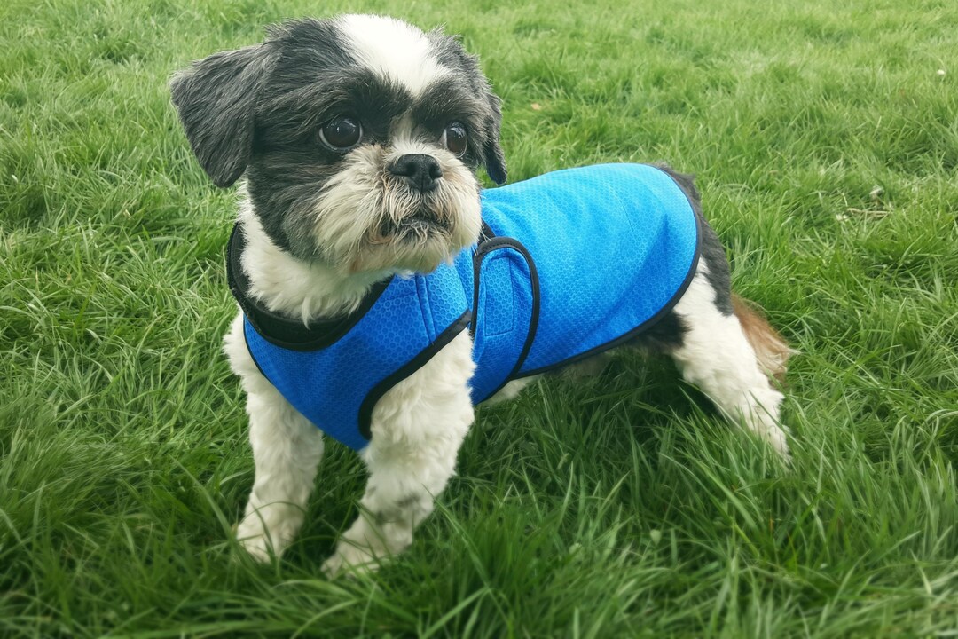 Made to Measure Dog Cooling Coat, Summer Dog Coat to Keep Your Dog Cool
